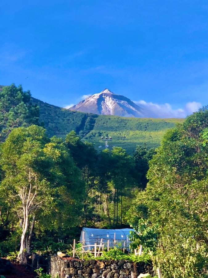 Quinta Pereirinha Farm - A Private 3 Bedroom Vacation Home, Close To Hiking W Ocean Views - Pico Island, Azores Сан-Роки-ду-Пику Экстерьер фото