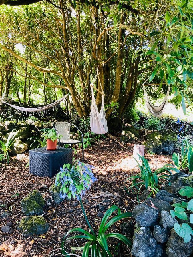 Quinta Pereirinha Farm - A Private 3 Bedroom Vacation Home, Close To Hiking W Ocean Views - Pico Island, Azores Сан-Роки-ду-Пику Экстерьер фото